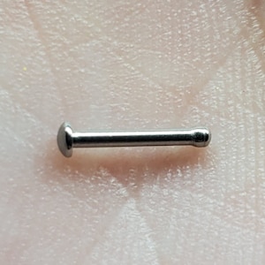 May include: A silver nose ring with a small ball on each end.
