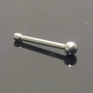 May include: A silver nose ring with a small ball at the end.