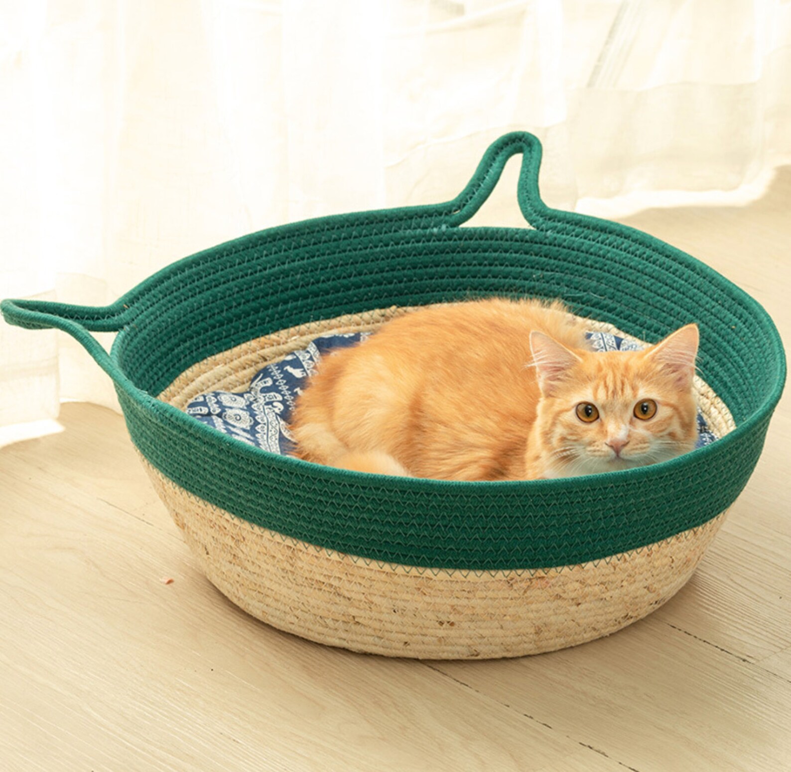 Large Organic Cat Nest With Handles Rattan Pet Bed Pet Etsy UK