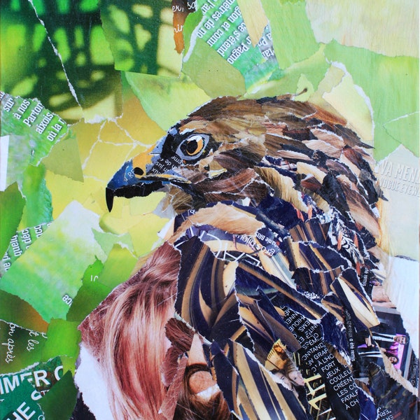 Oeuvre collage original d'un aigle, art contemporain, nature sauvage, tableau coloré, pop art