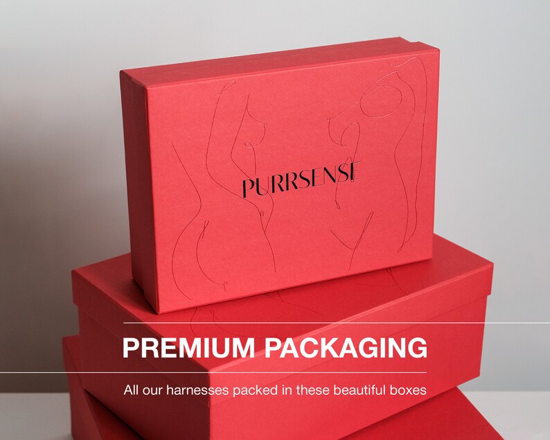 Body Harness, Leather Harness Set, Red Leather Garters, Bondage Gear