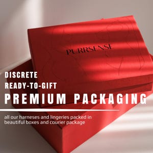 Sheer Lingerie Sexy Nude Lingerie Black Mesh Bra and Panties Boudoir