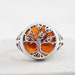 see more listings in the Amber Rings section