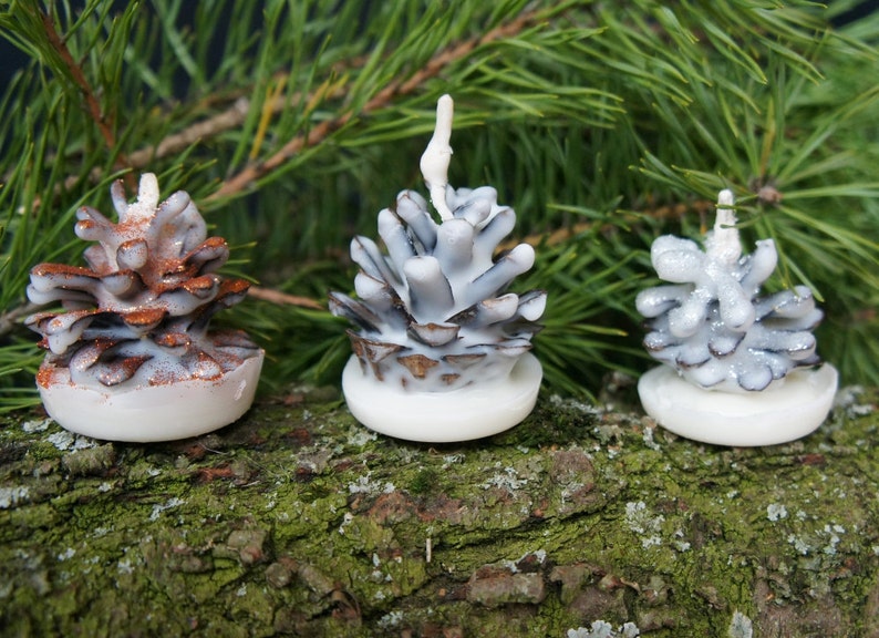 Scented pine cone fire starters gift for camping lover as Etsy