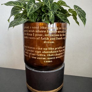 Manifestare denaro - vaso autoirrigante