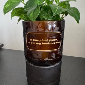 Puede incluir: Una planta en maceta con hojas verdes en una maceta de vidrio marrón. La maceta tiene un diseño floral y el texto "As this plant grows, so will my bank account." La maceta está sobre una base negra.