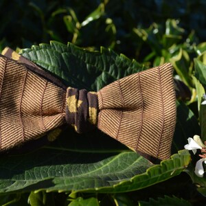 Ahornsirup Bowtie