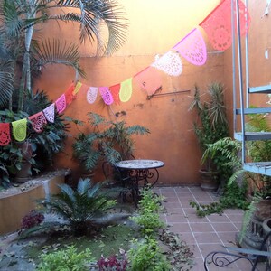 pink banners