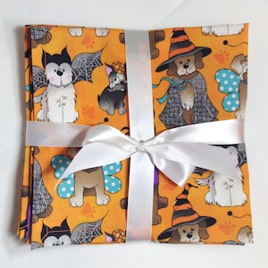 Halloween Napkins, Set of 4, Cloth Napkins, Lunchbox Napkins, Napkins, Dinner Napkins, Lunch Napkins, Printed Napkins, 16”x 16” N145