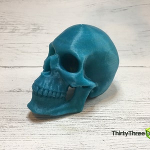 May include: A teal blue 3D printed skull. The skull is facing to the right and the jaw is slightly open.