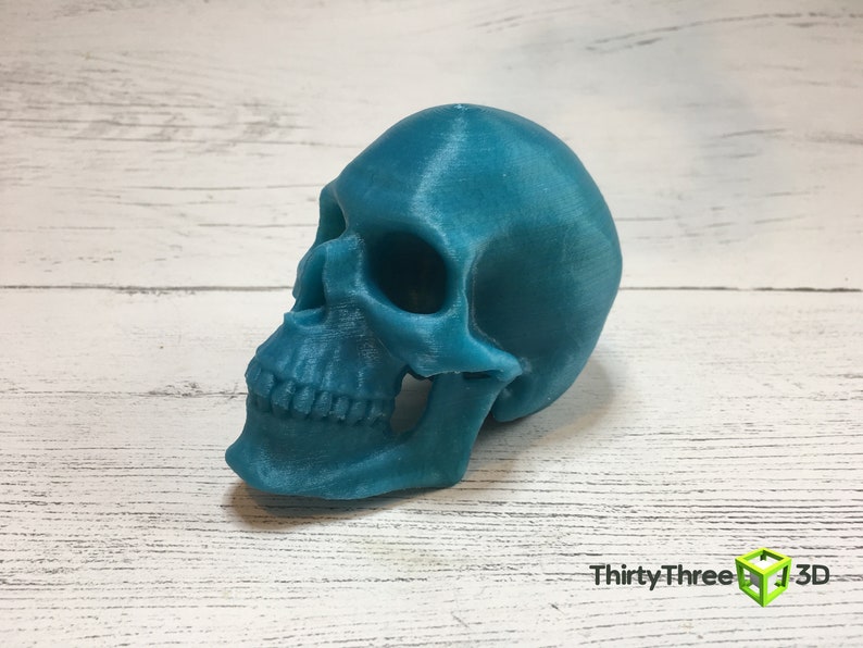 May include: A teal blue 3D printed skull. The skull is facing to the right and the jaw is slightly open.