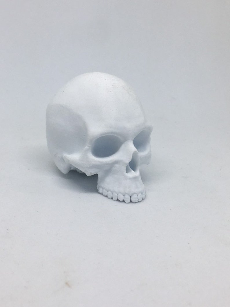 May include: A white ceramic skull with a detailed face and teeth. The skull is sitting on a white surface.