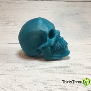 May include: A teal blue 3D printed skull model. The skull is facing to the right and the jaw is slightly open. The skull is sitting on a white wooden surface.