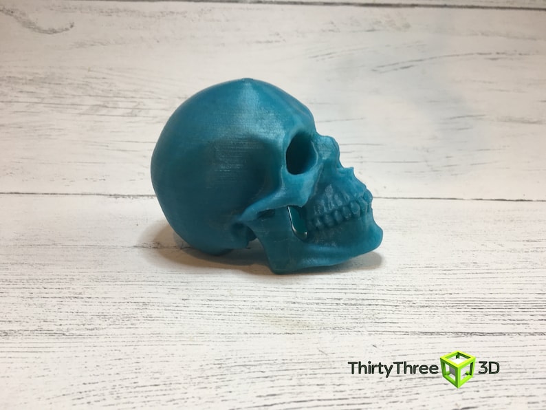 May include: A teal blue 3D printed skull model. The skull is facing to the right and the jaw is slightly open. The skull is sitting on a white wooden surface.