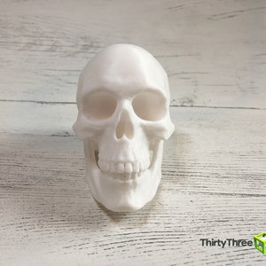 May include: White plastic skull model with detailed features, including eye sockets, a nose, and teeth. The skull is sitting on a white wooden surface.