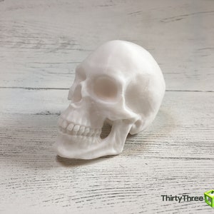 3D printed skull/ Glow in the dark, US