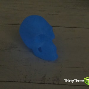 May include: A blue plastic skull figurine. The skull is smooth and has a glossy finish.