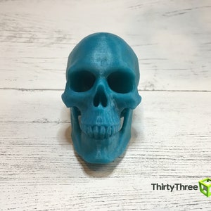 May include: A teal blue 3D printed human skull. The skull is detailed with a visible jawline and teeth.