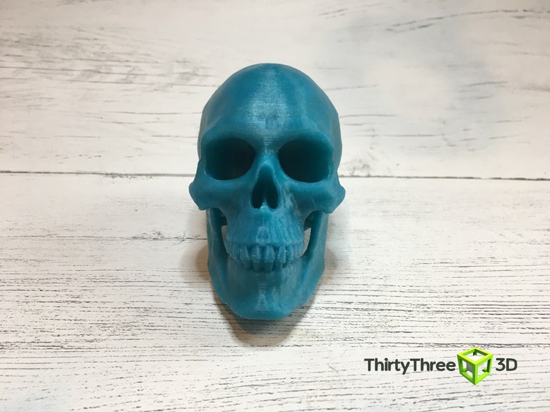 May include: A teal blue 3D printed human skull. The skull is detailed with a visible jawline and teeth.