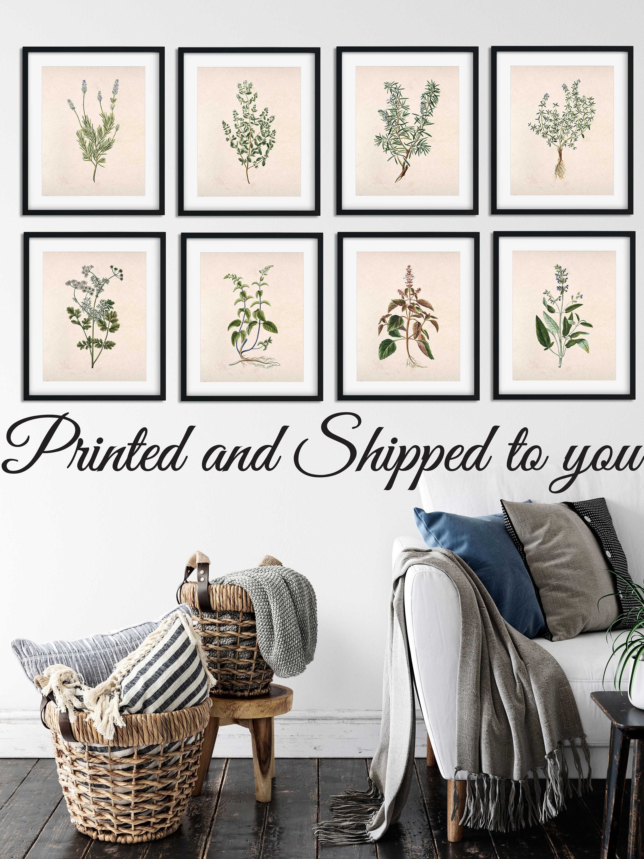 Botanical Print Set of 8, Vintage Herb Botanical Prints,- UNFRAMED ...
