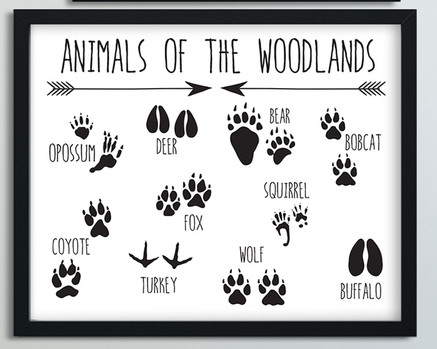 It is an image of Gratifying Printable Animal Tracks It is a picture of Gratifying Printable Animal Tracks