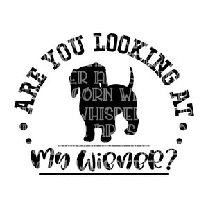 Vous regardez ma saucisse ? Chien drôle disant teckel SVG coupe fichier Silhouette fichier d'impression Cricut téléchargement numérique instantané