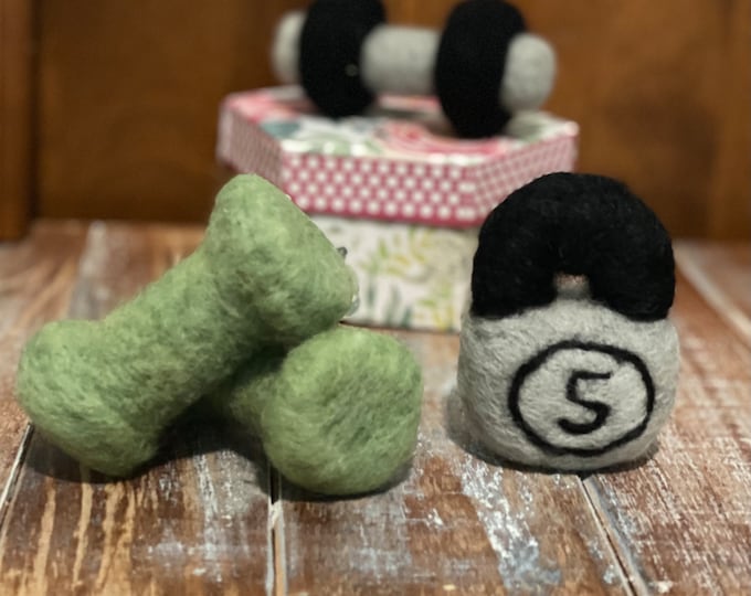 Needle Felted Gym set, Gym Set, Newborn Workout Set, Felted workout props, felted dumbbell