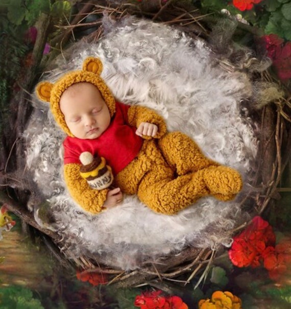 Needle Felted Honey Pot & Bee: Newborn Photo Prop
