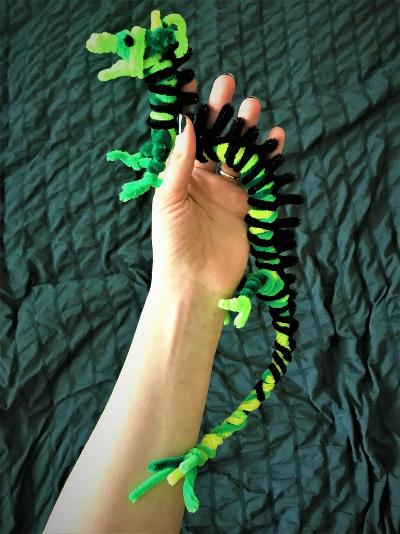 May include: A green and black pipe cleaner dragon toy. The dragon is curled in a S shape and has a long tail.
