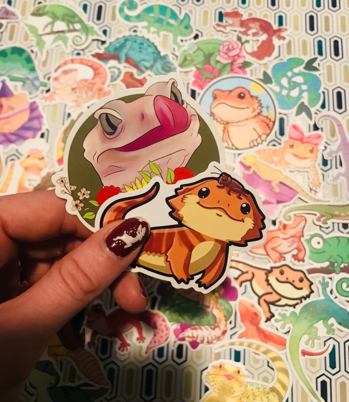 Reptile Stickers: (random 5 Pack) Bearded Dragons, Leopard Geckos and ...