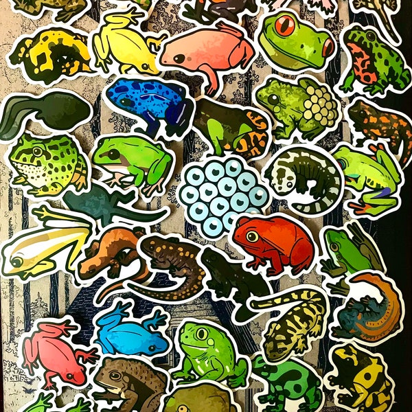 Mixed Amphibian Stickers  (Random 5 pack)