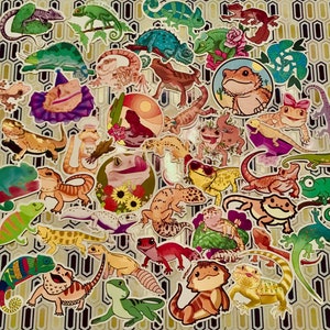 Reptile Stickers: (random 5 Pack) Bearded Dragons, Leopard Geckos and ...