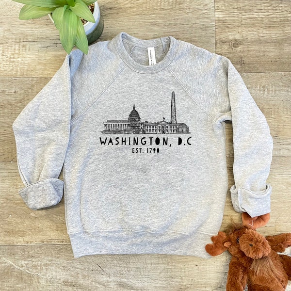 Kid's Sweatshirt, Screenprinted Sweater, Downtown Washington DC, D.C., Heather Gray or Mauve, Shirts With Sayings