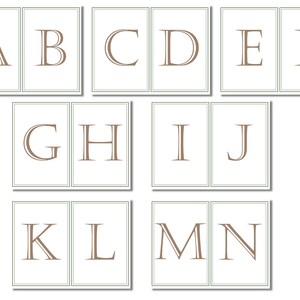 Pu&ograve; includere: Un set di carte con le lettere dell'alfabeto con un carattere marrone su sfondo bianco. Ogni lettera &egrave; incorniciata da un bordo verde.