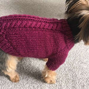 May include: A small dog wearing a burgundy knitted sweater with a cable knit pattern. The sweater has a turtleneck and long sleeves.
