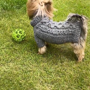 May include: A small, brown and white dog wearing a grey knitted jumper stands on green grass. A green, plastic, ball shaped toy is in the foreground.