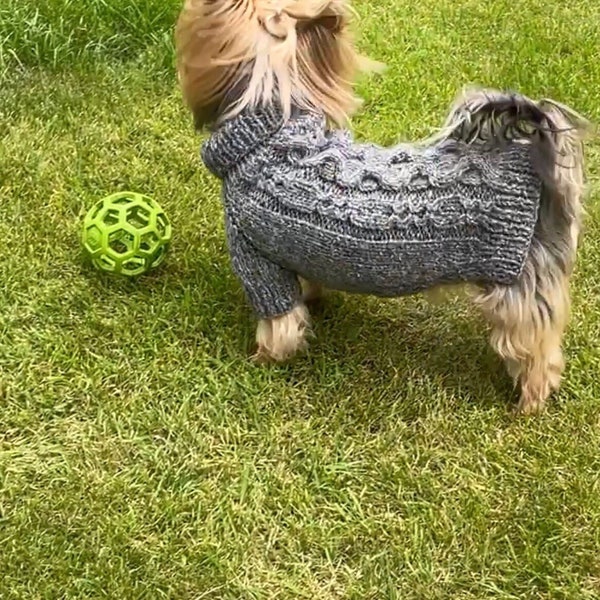 Knitting Pattern - Slate dog, cat sweater, Top-Down, dog sweater, pet clothes, cable, little dog, DIY project, knitted, yorkie, pets, little