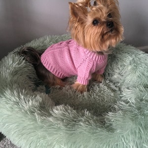 Knitting Pattern Pink dog, cat sweater, Top-Down, dog sweater, pet clothes, cable, little dog, DIY project, knitted, yorkie, pets, little image 4