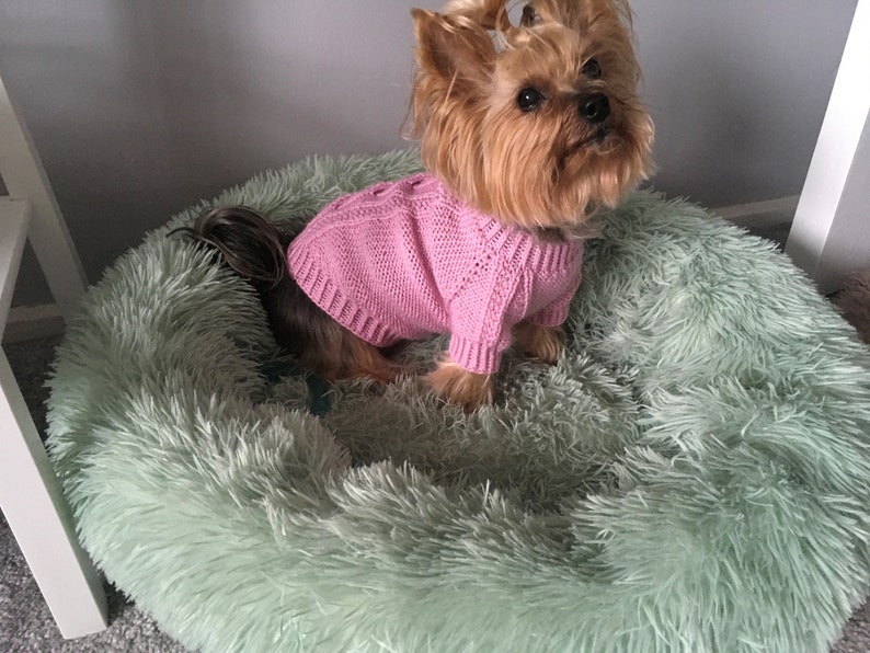 Knitting Pattern Pink dog, cat sweater, Top-Down, dog sweater, pet clothes, cable, little dog, DIY project, knitted, yorkie, pets, little image 4