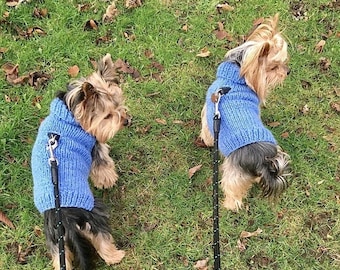 Modello a maglia: maglione semplice per cani, gatti, dal basso verso l'alto, maglione per cani, vestiti per animali domestici, cani, gatti, cagnolino, progetto fai da te, lavorato a maglia, yorkie, animali domestici.