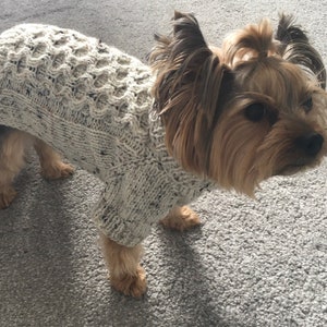 Modèle de tricot chien en tweed, pull pour chat, de haut en bas, pull pour chien, vêtements pour animaux de compagnie, chiens, chat, petit chien, projet de bricolage, tricot, yorkie, animaux de compagnie. image 2