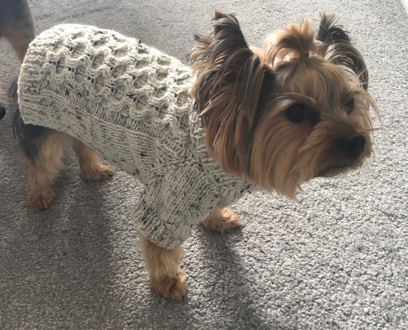 Modèle de tricot chien en tweed, pull pour chat, de haut en bas, pull pour chien, vêtements pour animaux de compagnie, chiens, chat, petit chien, projet de bricolage, tricot, yorkie, animaux de compagnie. image 2