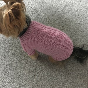 Knitting Pattern Pink dog, cat sweater, Top-Down, dog sweater, pet clothes, cable, little dog, DIY project, knitted, yorkie, pets, little image 2