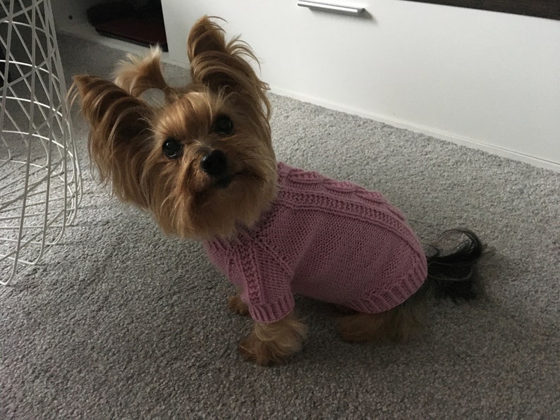 Knitting Pattern Pink dog, cat sweater, Top-Down, dog sweater, pet clothes, cable, little dog, DIY project, knitted, yorkie, pets, little image 7