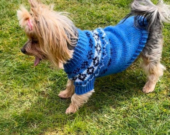 Knitting Pattern Blue Yoke dog, cat sweater, Top-Down, dog sweater, pet clothes, dog, cat, little dog, DIY project, knitted, yorkie, pets.