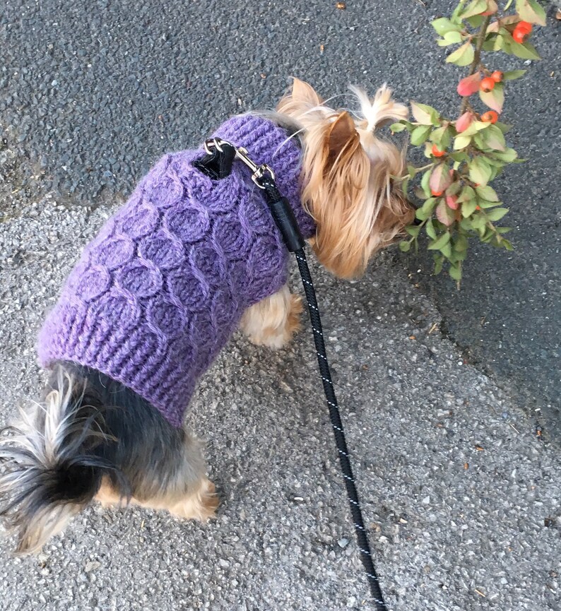 Knitting Pattern cabled dog sweater Ocean Wave