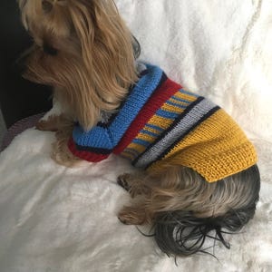 Pode incluir: Um cão pequeno usando um suéter listrado colorido. O suéter apresenta faixas azuis, vermelhas, amarelas e cinzas. O cão está deitado em uma superfície branca e fofa, com a cabeça virada para o lado.