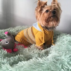 Knitting Pattern - Hooded dog, cat sweater, Top-Down, dog sweater, pet clothes, dogs, cat, little dog, DIY project, knitted, yorkie, pets.