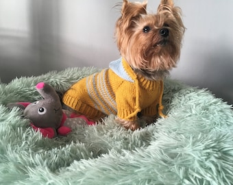 Patrón de tejido: perro con capucha, suéter para gatos, de arriba hacia abajo, suéter para perros, ropa para mascotas, perros, gatos, perritos, proyecto de bricolaje, tejido, yorkie, mascotas.