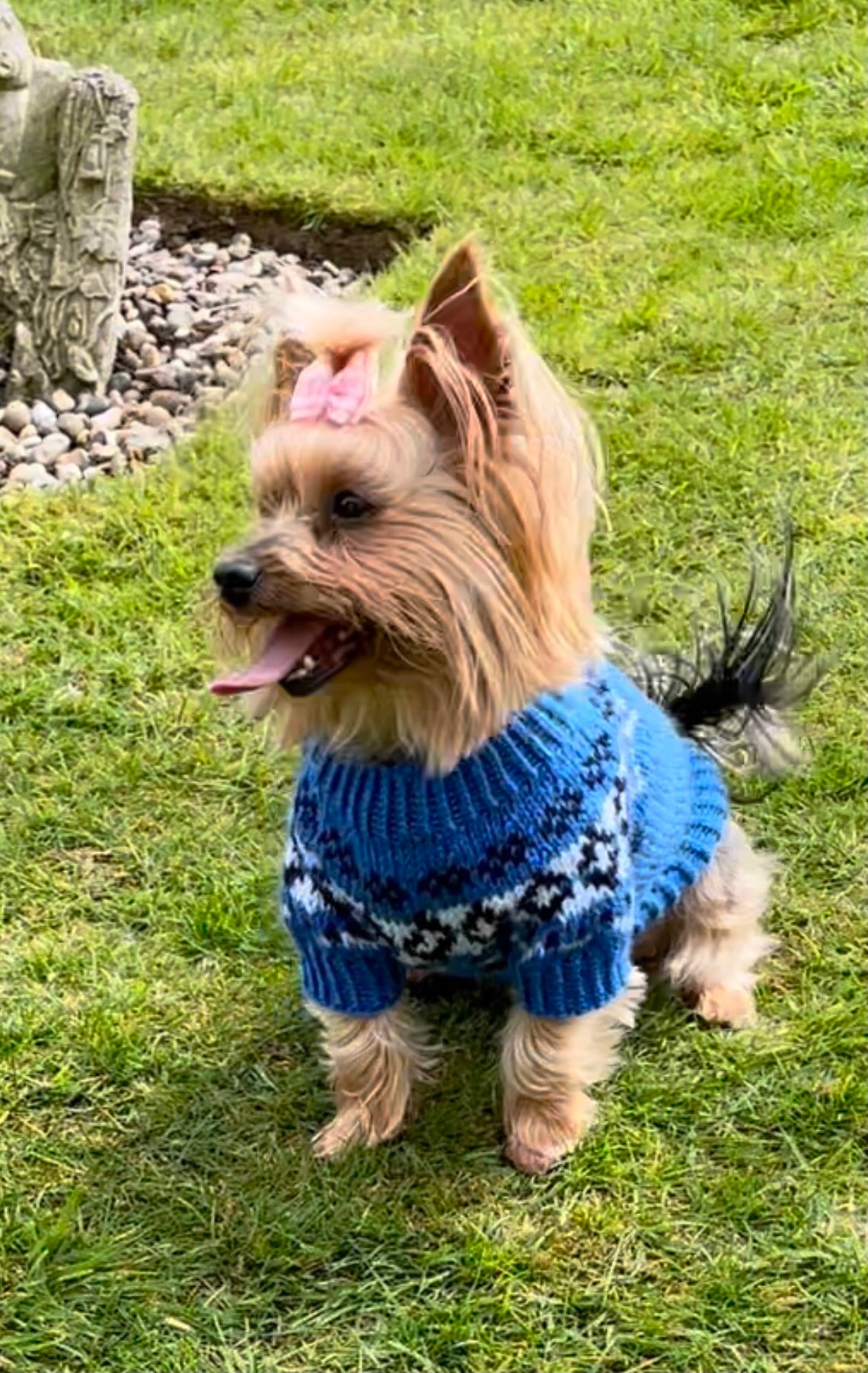 Blue Yoke Dog Sweater PDF Knitting Pattern Etsy